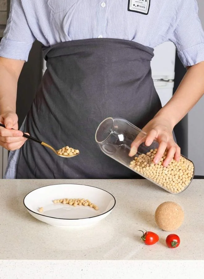 Casa Quesera  1240 ml Glass Storage Jars with Ball Cork Lids Set of 3  | Best Price UAE
